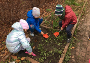 dzieci w ogródku sadzą zioła